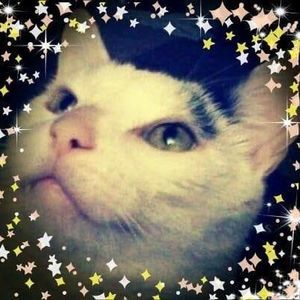 Meet your Posher, Deana